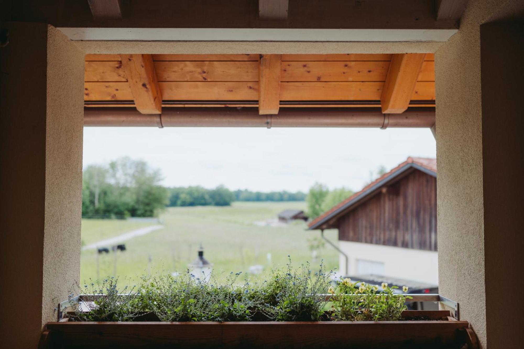 Ferienwohnungen Gut Mischenried Weßling Esterno foto